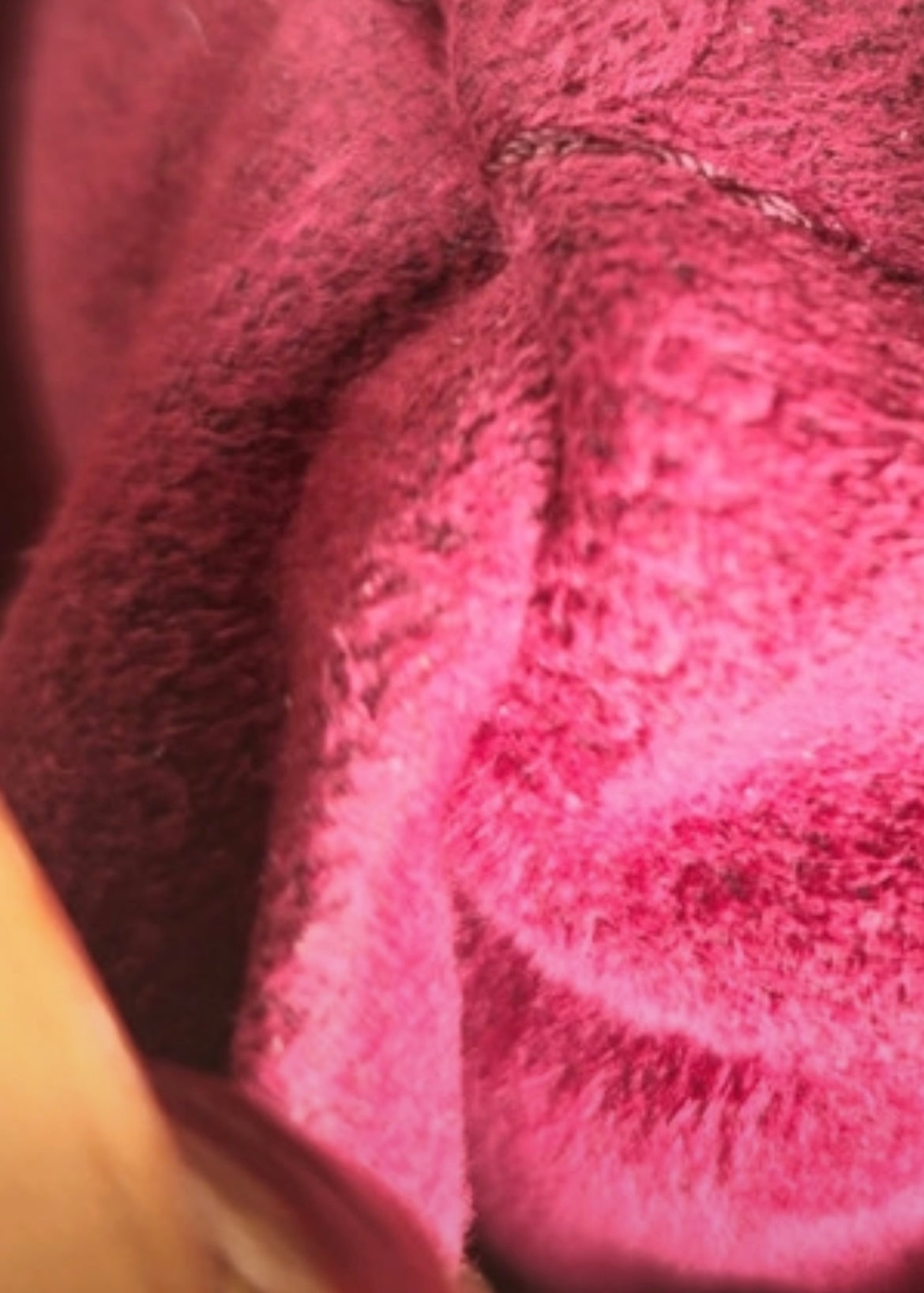 Louis Vuitton x Takashi Murakami Leonor bag