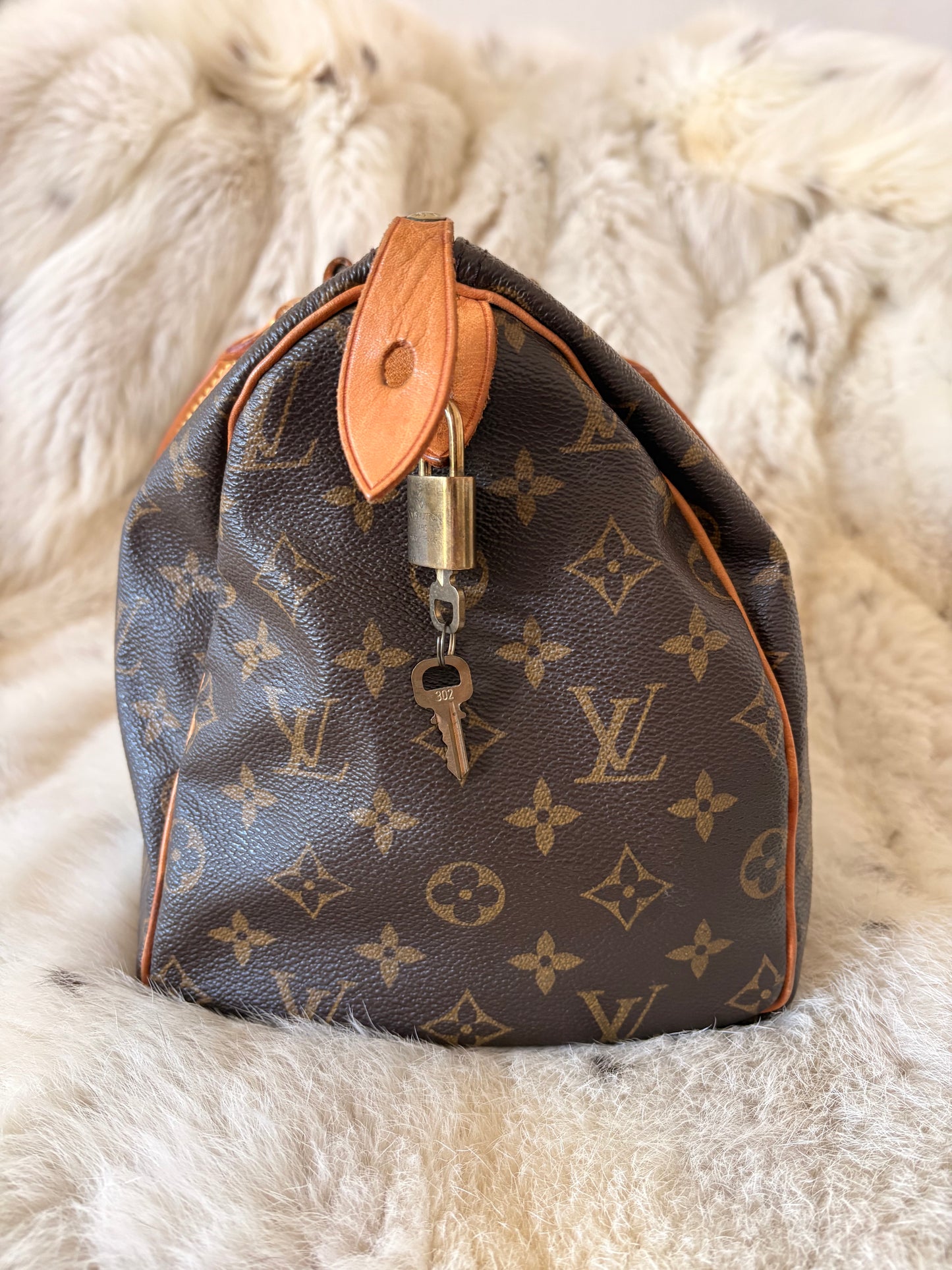 Louis Vuitton Speedy 30