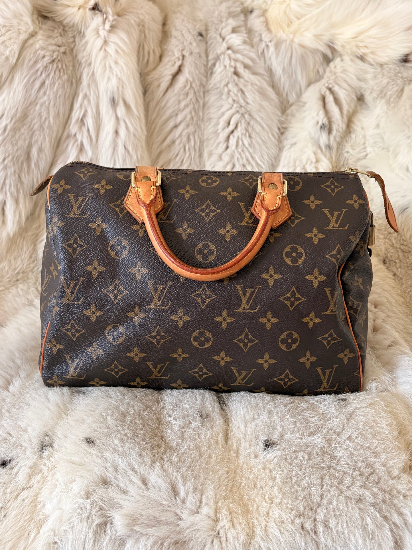 Louis Vuitton Speedy 30