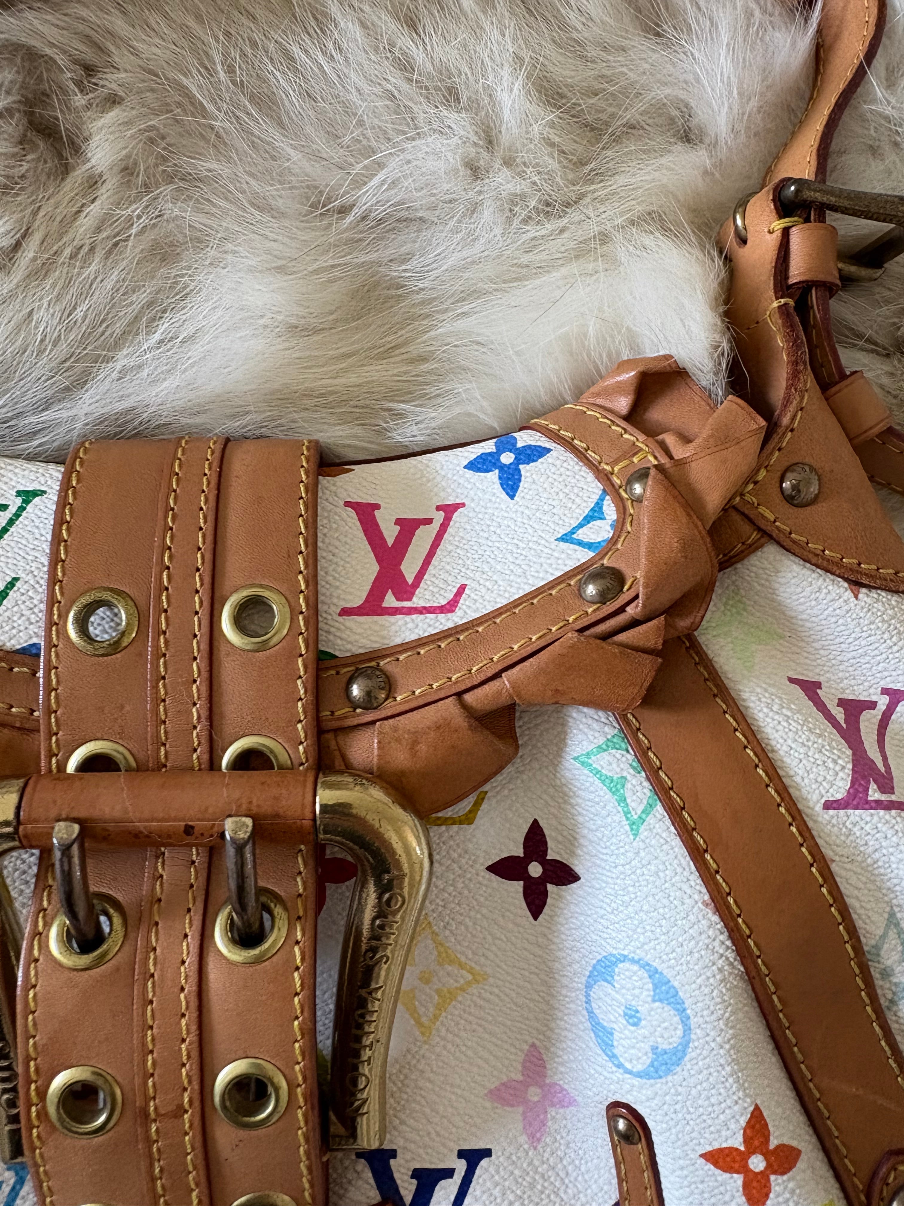 Louis Vuitton x Takashi Murakami Leonor bag
